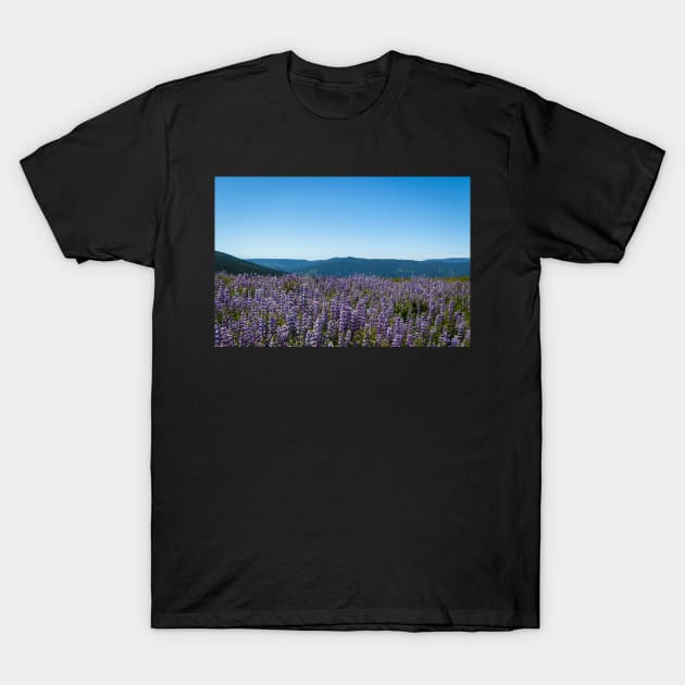 View of lupine and mountains T-Shirt by blossomcophoto